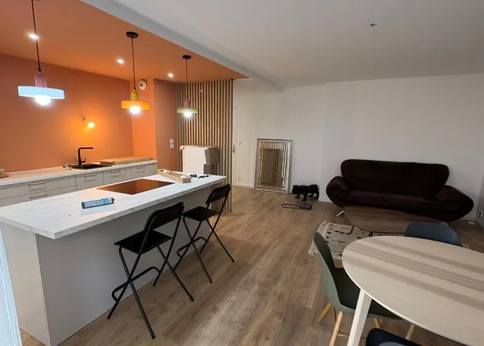 T3 Bazacle Proche Centre Toulouse